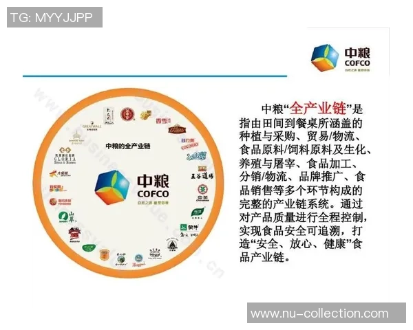 四川安那纳足球队崛起之路探索与发展战略的全景分析 四川安那纳足球队崛起之路探索与发展战略的全景分析