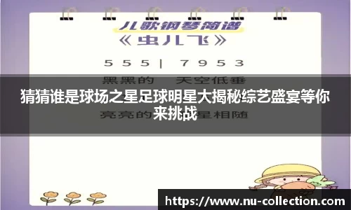 猜猜谁是球场之星足球明星大揭秘综艺盛宴等你来挑战